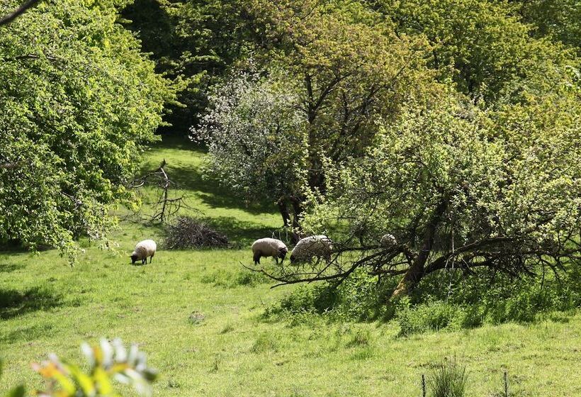 Отель Antik Hof Bissee