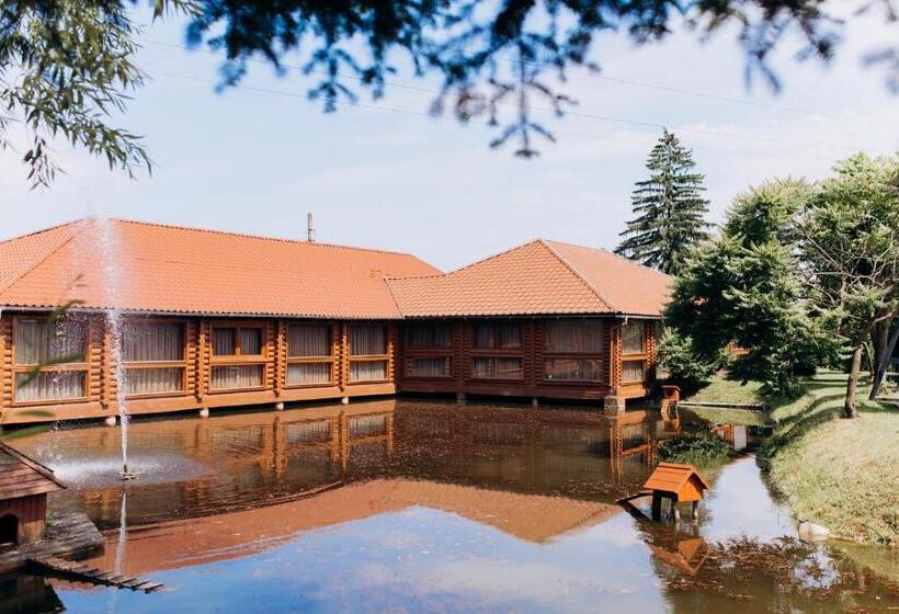 בית מלון כפרי Arta City