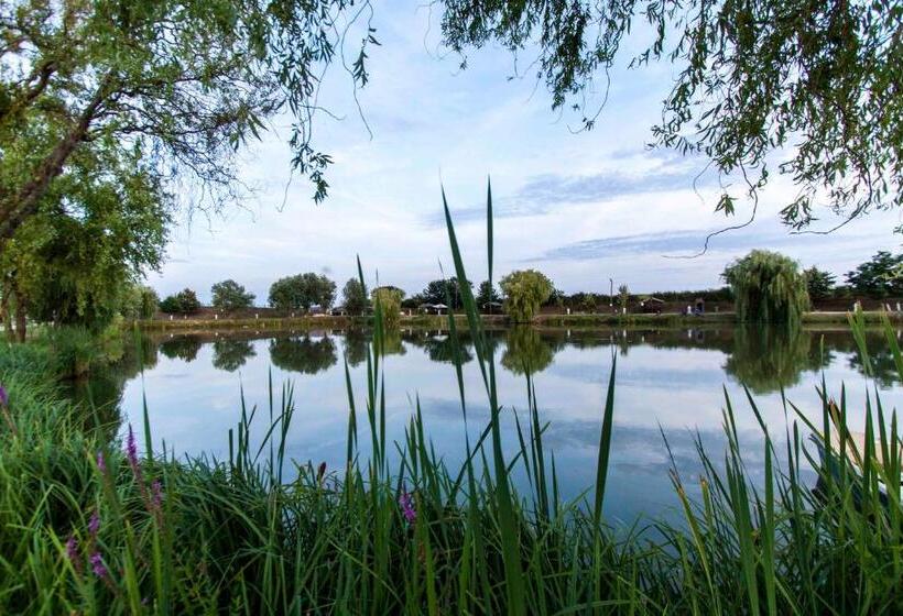 ホテル Camelot Resort