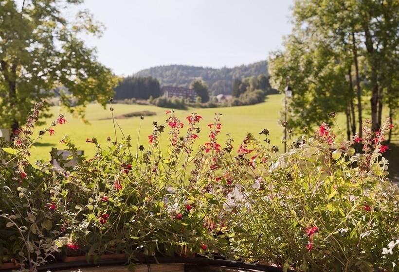 Hotel Etoile Des Neiges Piscine Spa Sauna