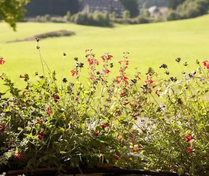Hôtel Etoile Des Neiges Piscine Spa Sauna