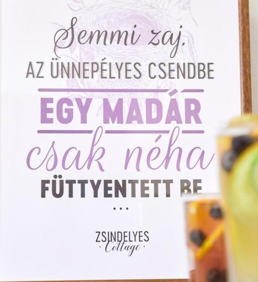 호텔 Zsindelyes Cottage