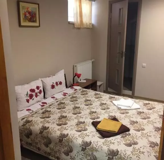 ペンション гостевой дом «anika»