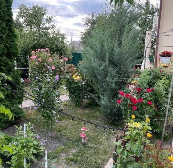 ペンション гостевой дом «anika»