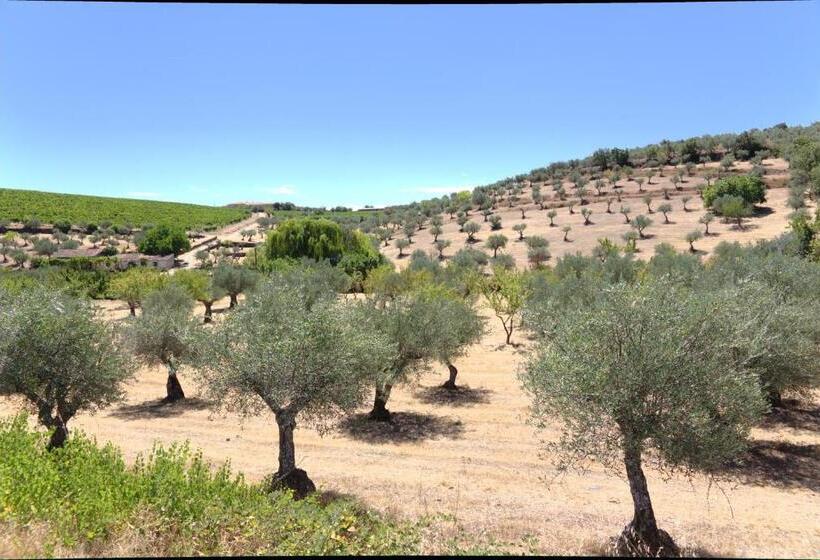 פנסיון Casa Das Aguas Ferreas