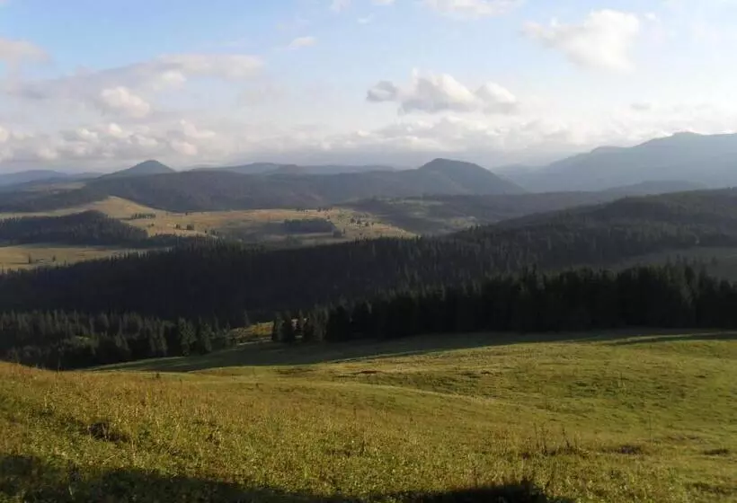 Majatalo Casa Din Plai   Bucovina