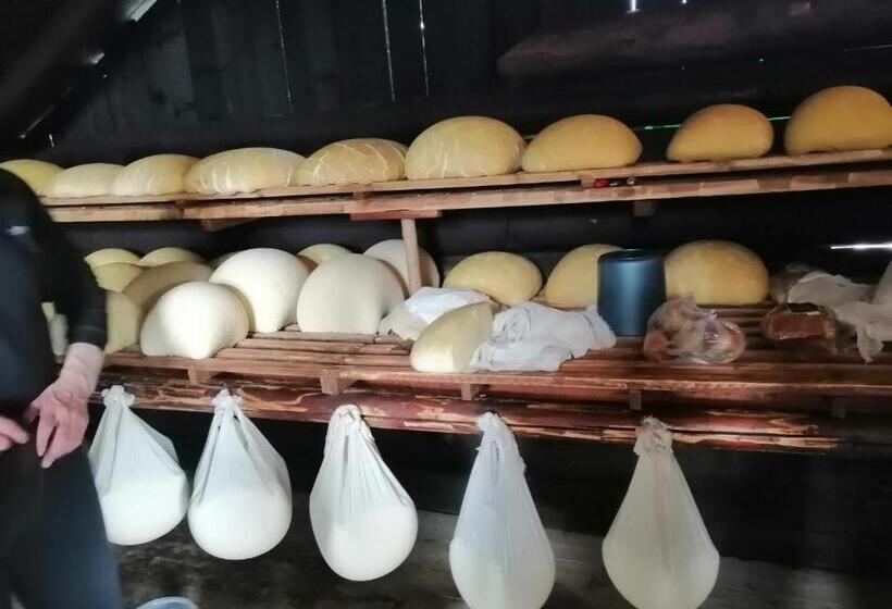 膳宿费 Casa Din Plai   Bucovina