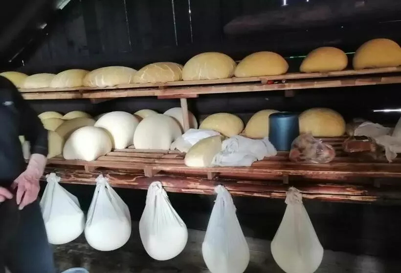 Majatalo Casa Din Plai   Bucovina