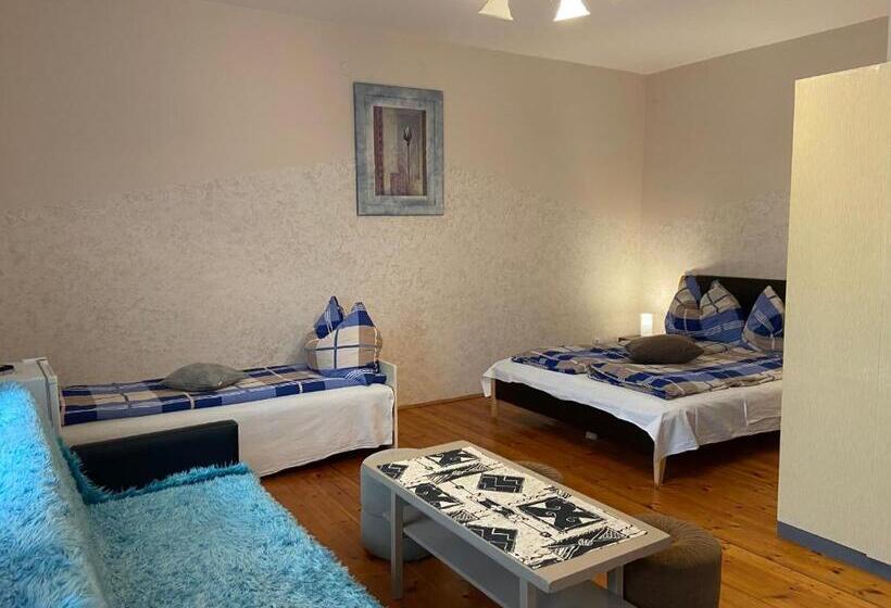 膳宿费 Goldschmiedt Vendégház