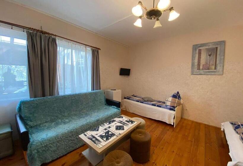 膳宿费 Goldschmiedt Vendégház