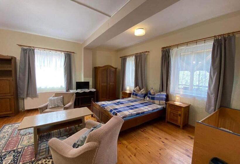 膳宿费 Goldschmiedt Vendégház