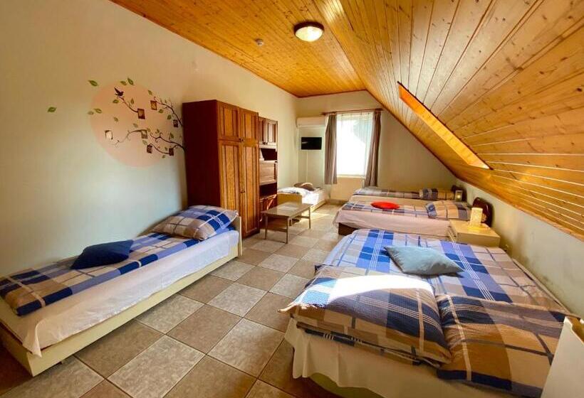 膳宿费 Goldschmiedt Vendégház