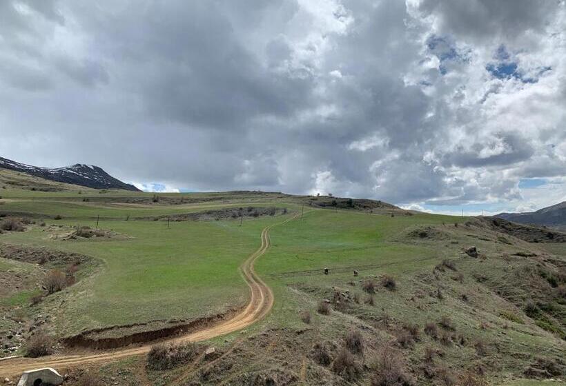 Pensão Gomkers Guest House