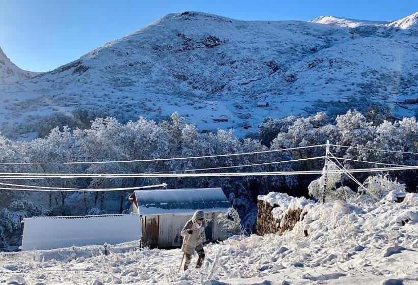 Pensão Gomkers Guest House