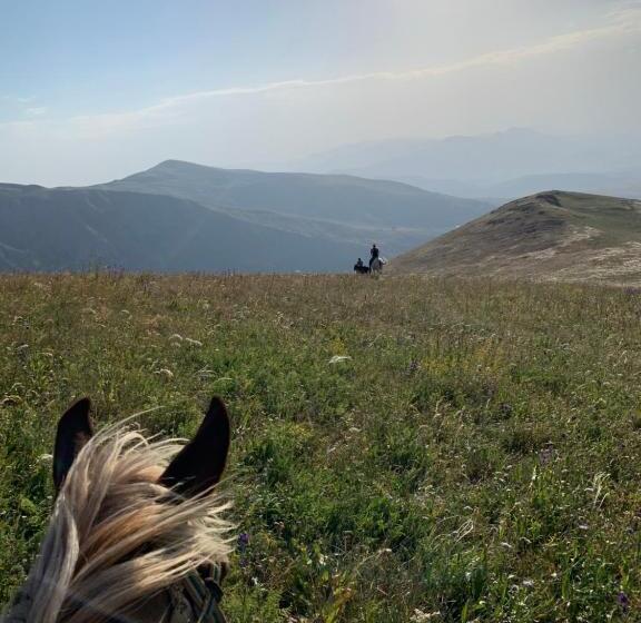 Pensão Gomkers Guest House