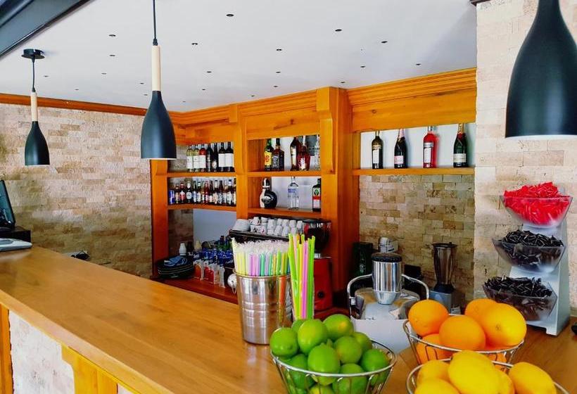 Pensiunea Câmpia Soarelui