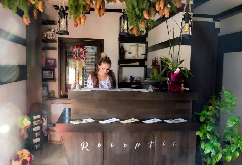 Pensiunea Câmpia Soarelui