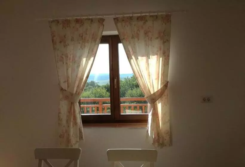 Pensiunea La Conac