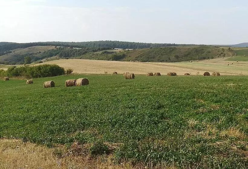 Pensiunea La Conac