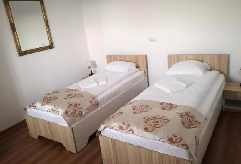 Pensiunea La Conac