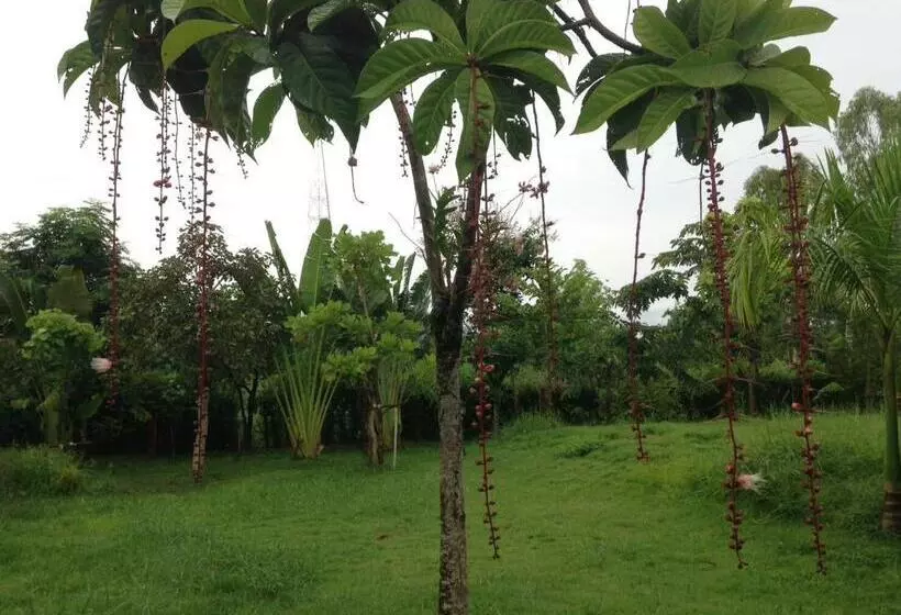 リゾートホテル เคียงเลิงรีสอร์ท