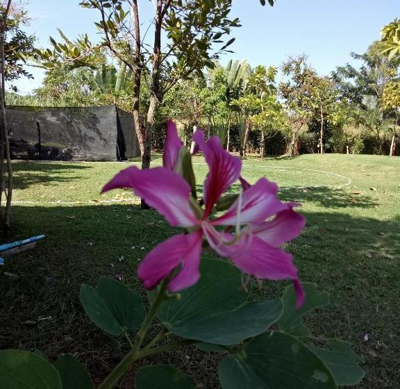 Kurort  เคียงเลิงรีสอร์ท