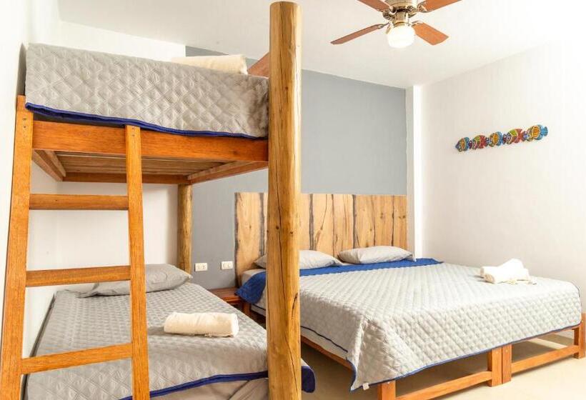 فندق Alas Y Arena