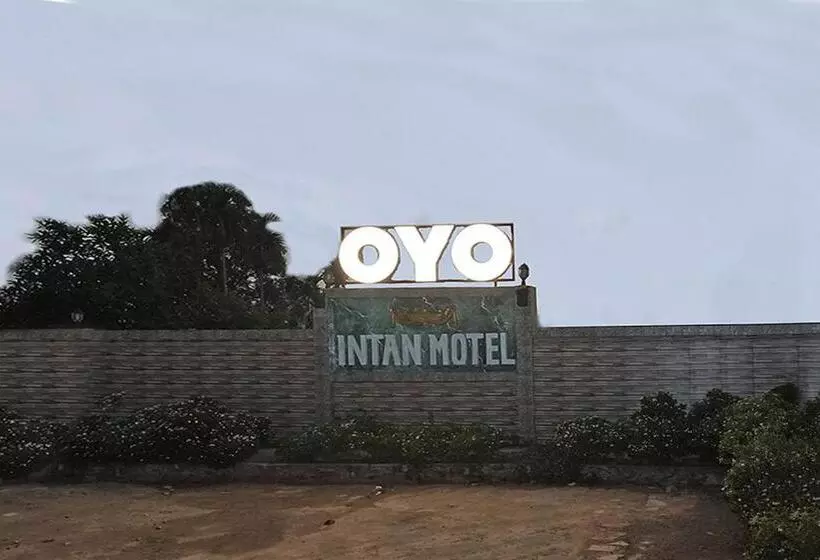 ホテル Oyo 2410 Intan
