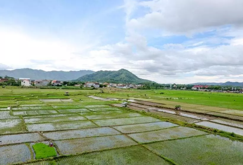 Hotelli Oyo 2966  Atriaz