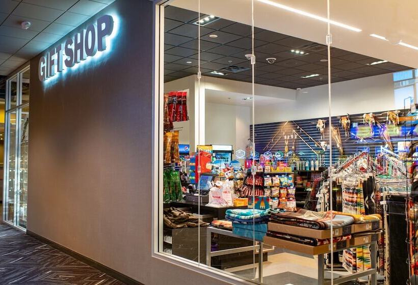 בית מלון כפרי Royal River Casino And