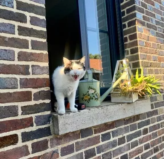 Le Domaine Du Lavoir