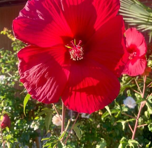 Le Domaine Du Lavoir