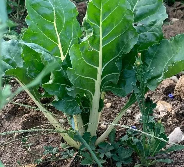 Le Domaine Du Lavoir