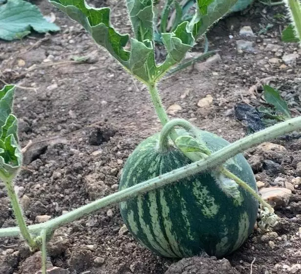 Le Domaine Du Lavoir
