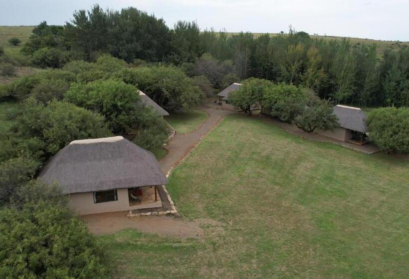 ペンション Francolin Creek