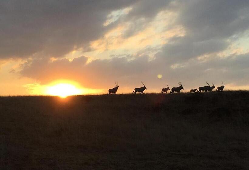 ペンション Francolin Creek