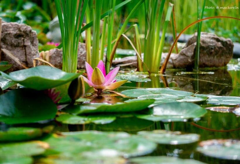 Panzió Penzion Kersko