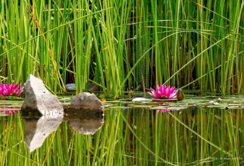 Panzió Penzion Kersko