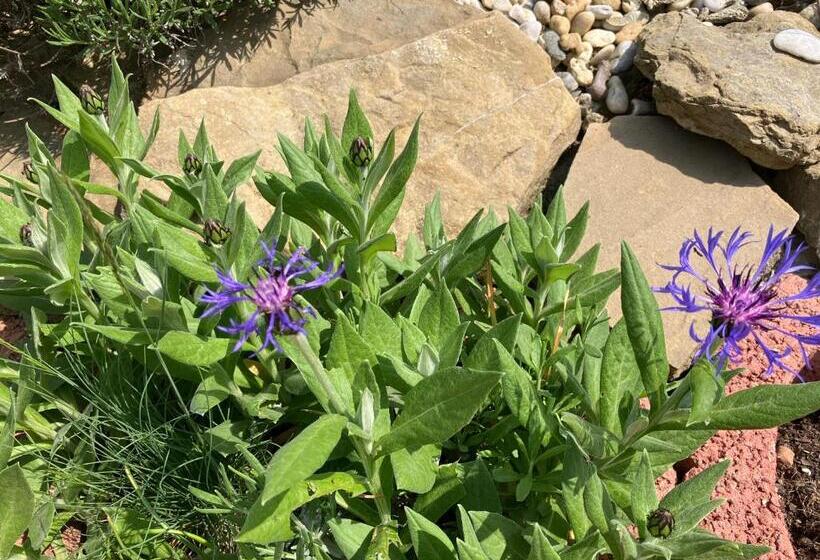 بنسيون Penzion U Kostela