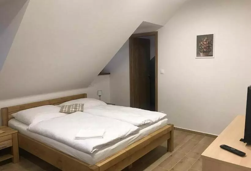 پانسیون Penzion U Kostela