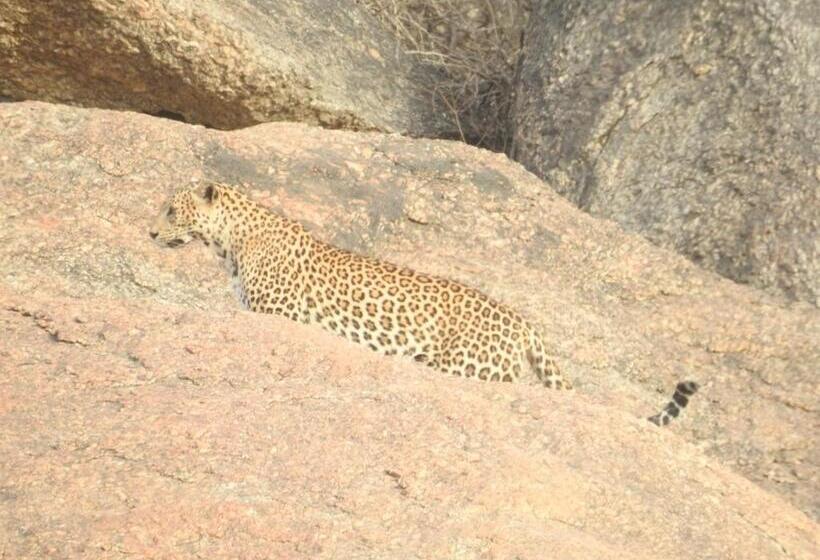 리조트 Jawai Bera Leopard Camp