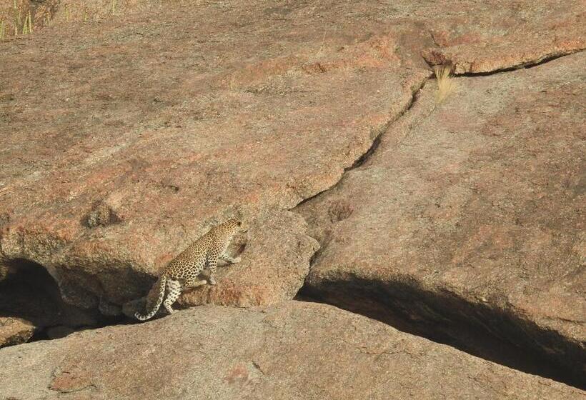 리조트 Jawai Bera Leopard Camp