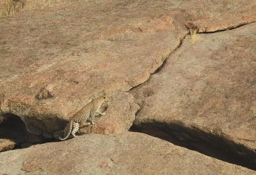 Resort Jawai Bera Leopard Camp