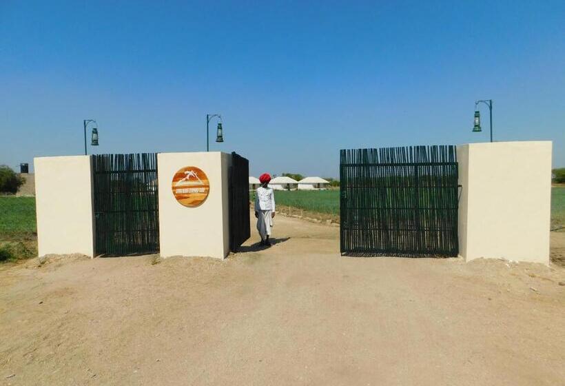 리조트 Jawai Bera Leopard Camp