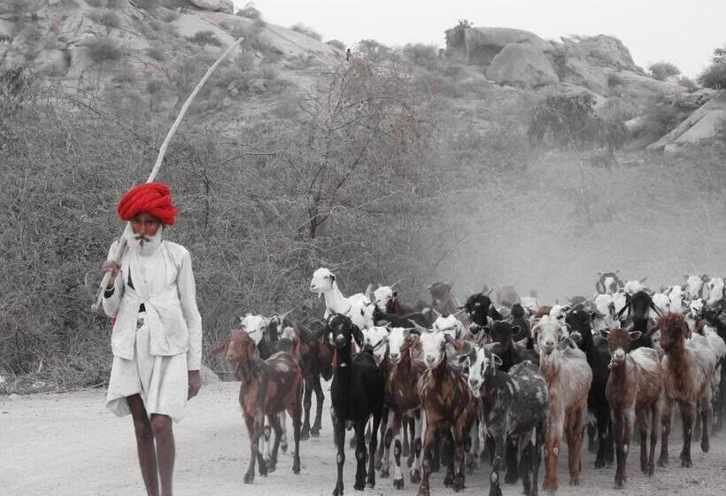 리조트 Jawai Bera Leopard Camp