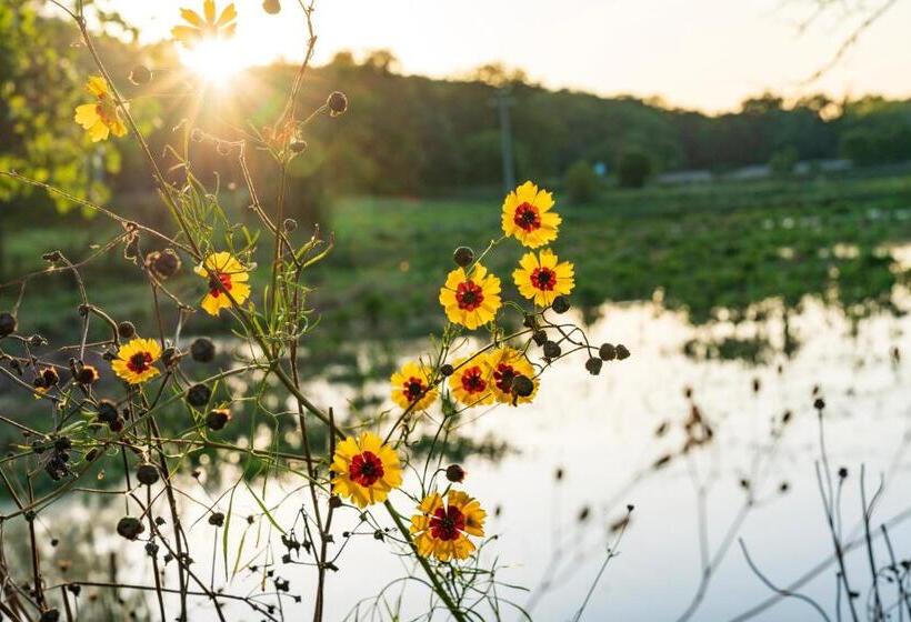 渡假胜地  Le Moulin Des Marais