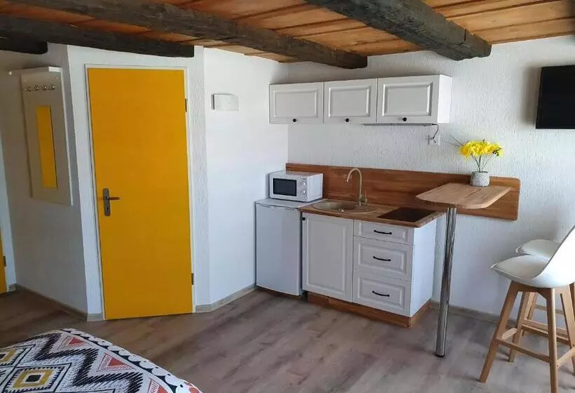 ユースホステル Gasthof Schwanen Radelfingen