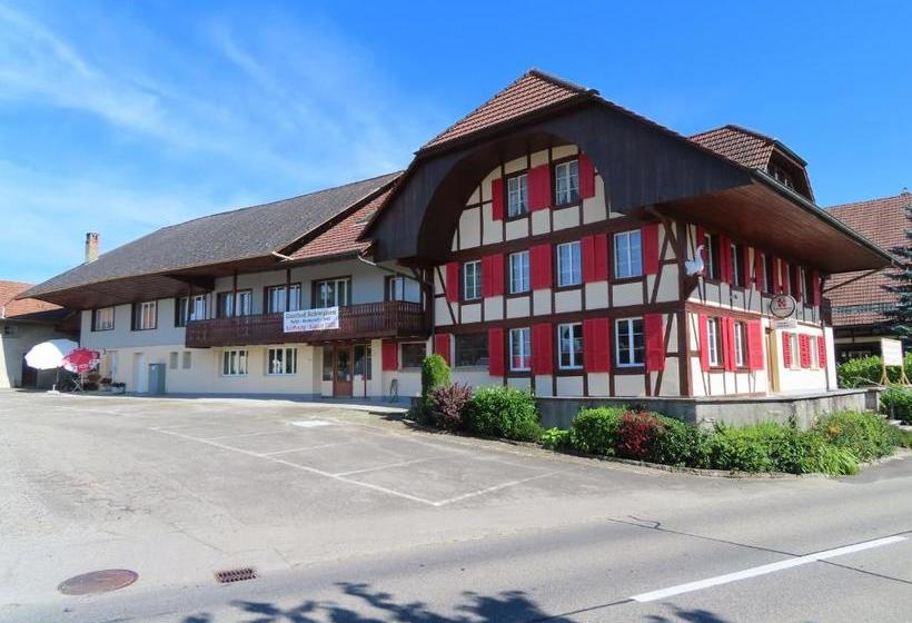 Общежитие Gasthof Schwanen Radelfingen