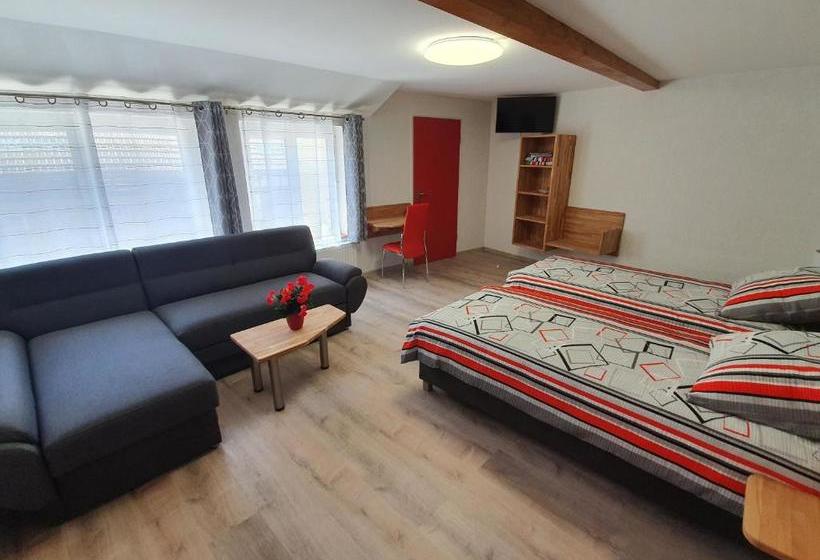 Общежитие Gasthof Schwanen Radelfingen