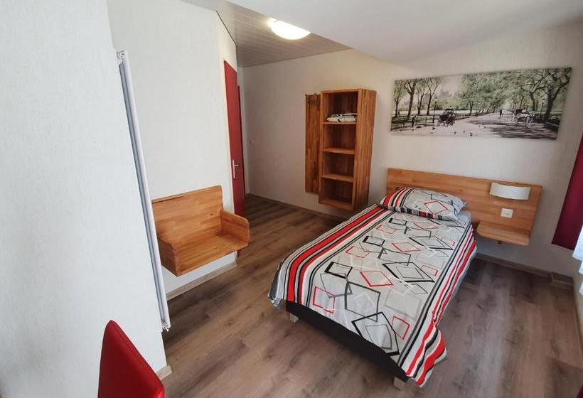 Общежитие Gasthof Schwanen Radelfingen